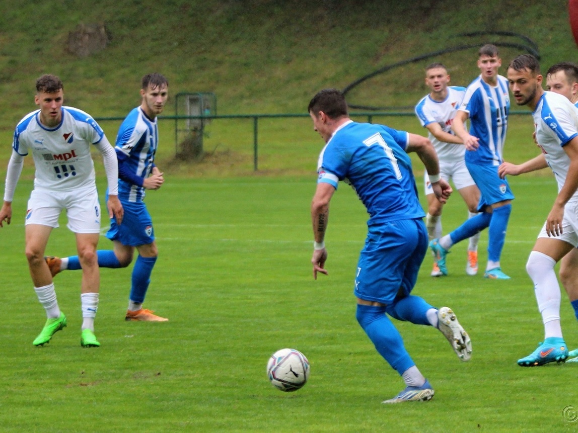 KORMIDLO V BOJI O ZÁCHRANU PŘEBÍRÁ PETER DROZD