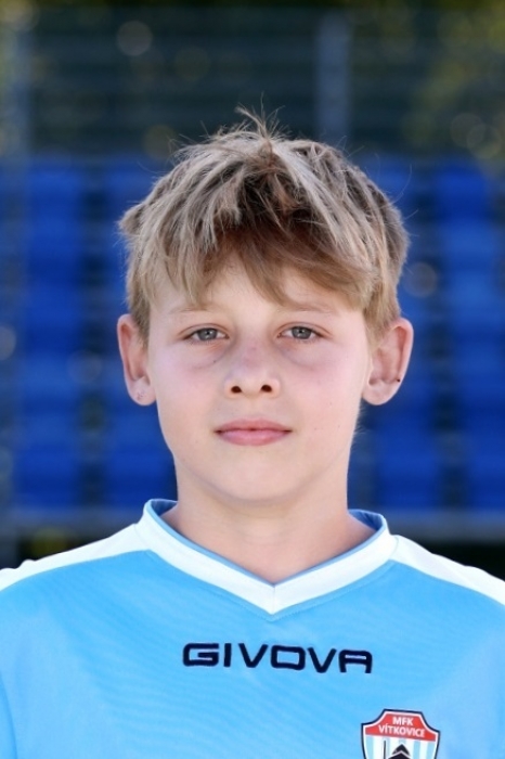 Viktor Holeček
